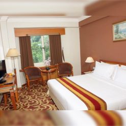 eska group batam 1907-Grand-Eska-Hotel-Batam-apartment-superior-room