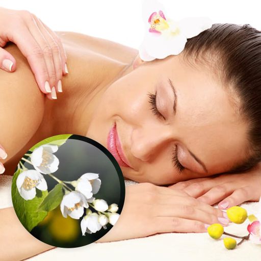 eska group batam eska wellness spa massage & salon
